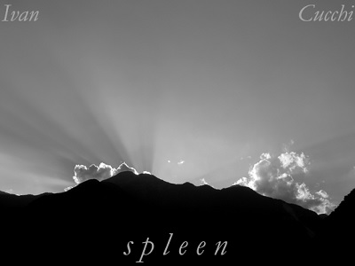 spleen cover